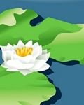 flower of nénuphare free download